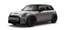 P-MODEL